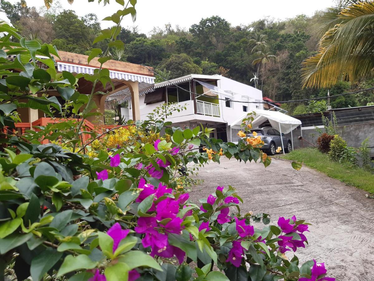 Logement La Poulette Rivière-Pilote Buitenkant foto
