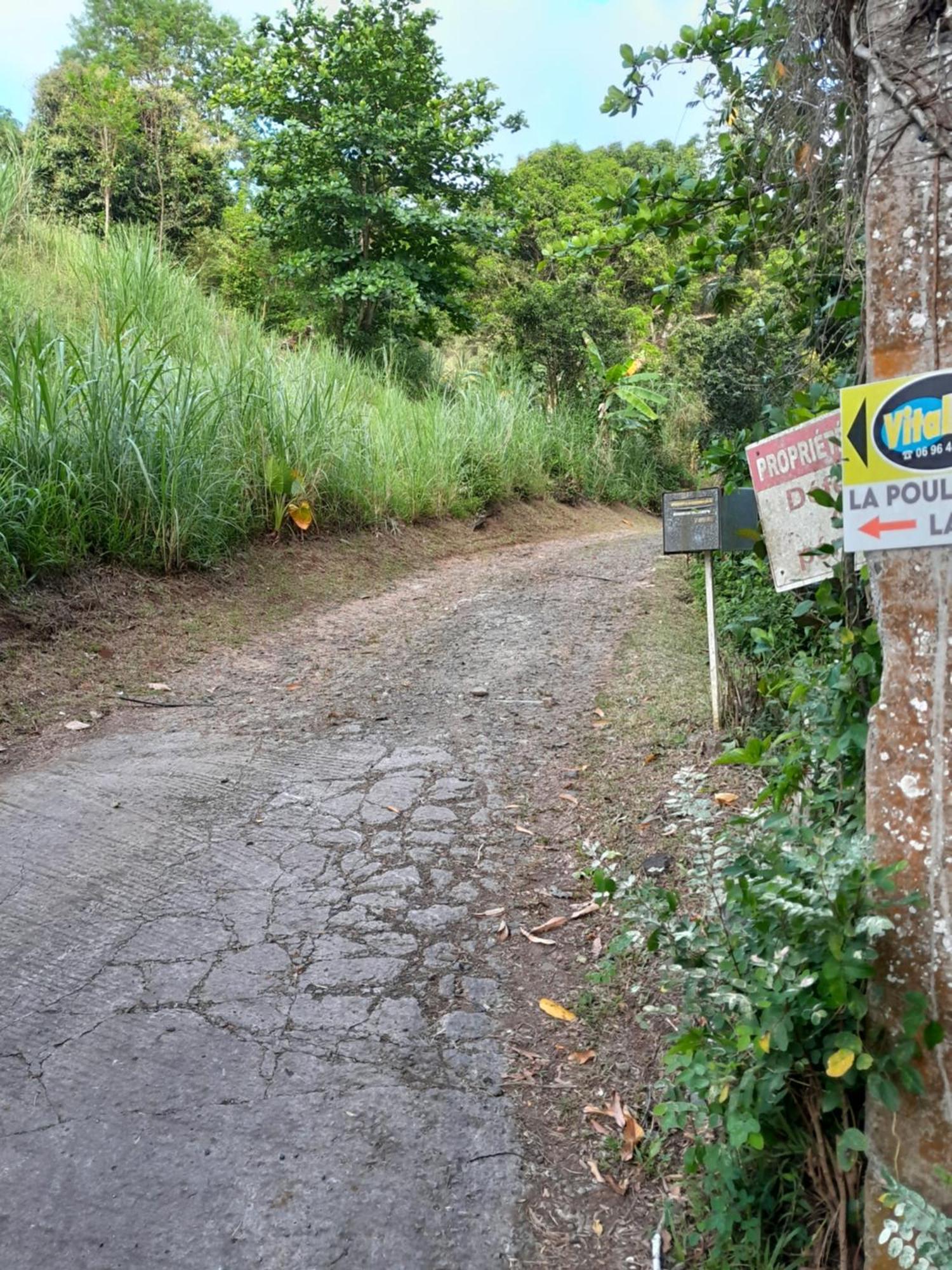 Logement La Poulette Rivière-Pilote Buitenkant foto